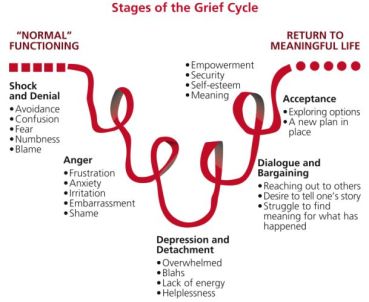 722f12093e455becbedcd335cc15d2ae--stages-of-grief-grief-loss