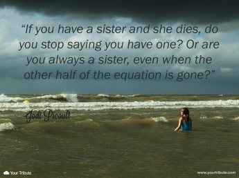 Jodi-Picoult-If-you-have-a-sister